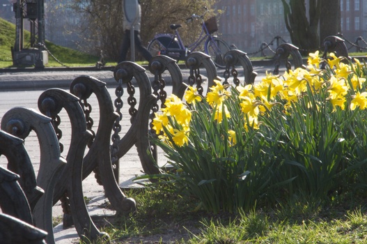 ./20090405-161950.jpg