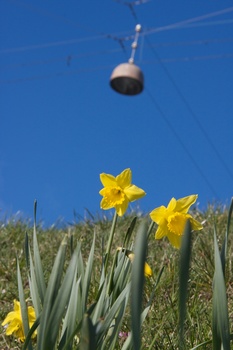 ./20090405-160730.jpg