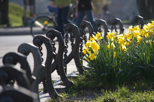 ./20090405-161935.jpg