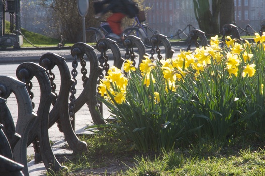 ./20090405-161953.jpg