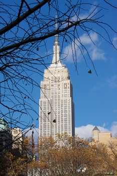 ./20101127-195229.jpg