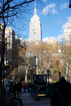 ./20101127-195235.jpg