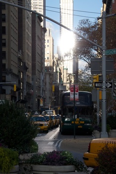 ./20101127-195548.jpg