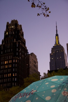 ./20101127-225525.jpg