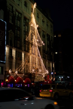 ./20101127-230809.jpg