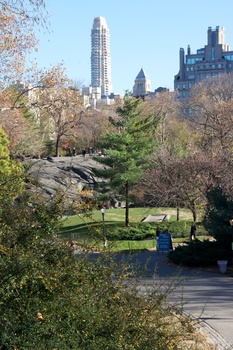 ./20101128-185426.jpg