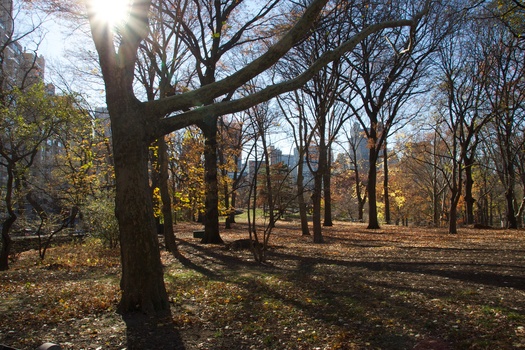 ./20101128-190408.jpg
