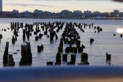 ./20101128-214356.jpg