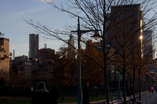 ./20101128-214903.jpg