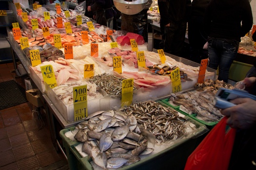 ./20101128-222905.jpg