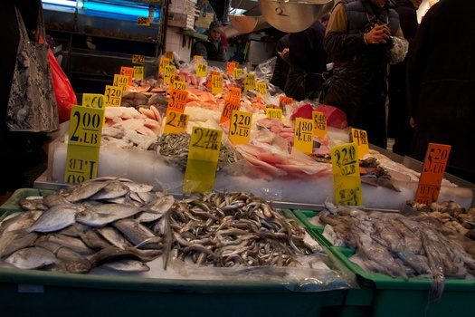 ./20101128-222913.jpg