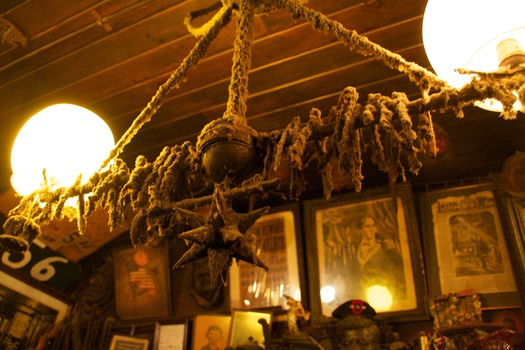 ./20101129-055514.jpg