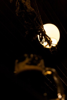 ./20101129-063258.jpg
