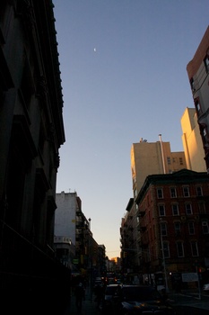 ./20101129-132103.jpg