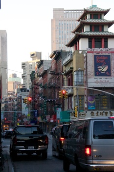 ./20101129-132514.jpg