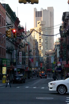 ./20101129-132605.jpg
