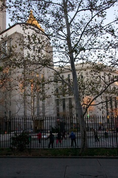 ./20101129-133102.jpg