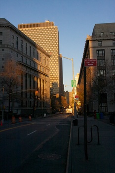 ./20101129-133216.jpg