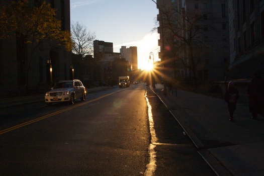 ./20101129-133425.jpg