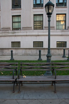 ./20101129-133509.jpg