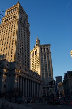 ./20101129-133541.jpg