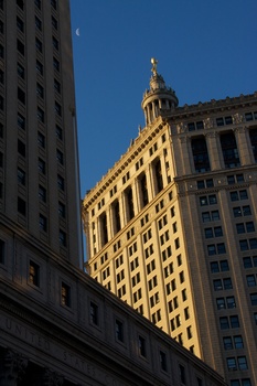 ./20101129-133633.jpg