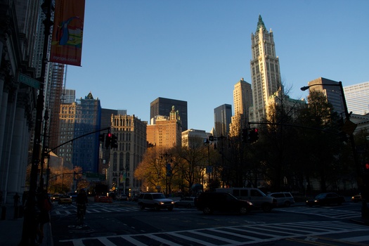 ./20101129-133922.jpg