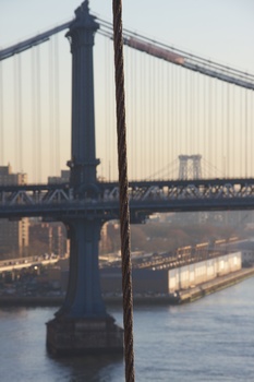 ./20101129-135325.jpg