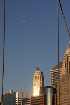 ./20101129-135416.jpg