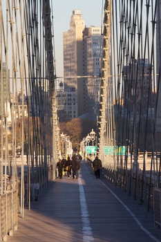 ./20101129-135448.jpg