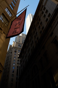 ./20101129-142651.jpg