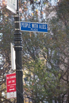 ./20101129-145307.jpg