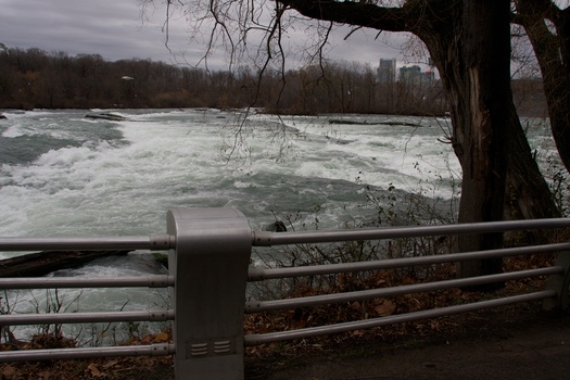 ./20101130-191153.jpg