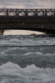 ./20101130-191247.jpg