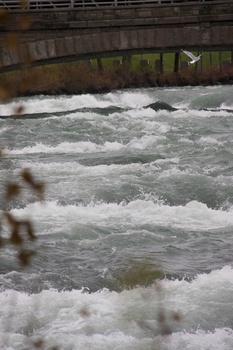 ./20101130-191301.jpg