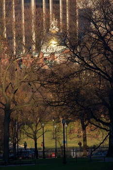 ./20101202-211806.jpg