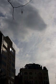 ./20101203-173611.jpg