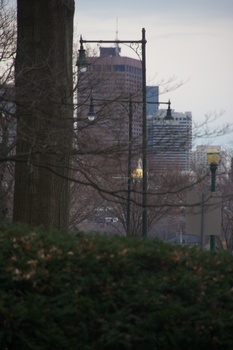 ./20101203-213855.jpg