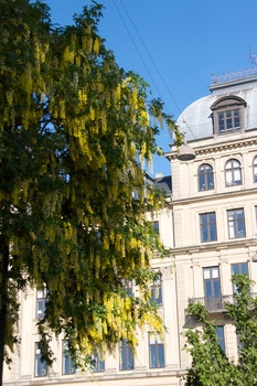./20090601-165556.jpg