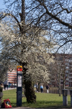 ./20080316-131837.jpg