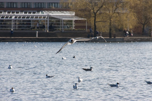 ./20080316-132743.jpg