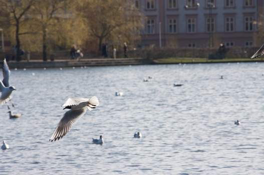 ./20080316-132745.jpg