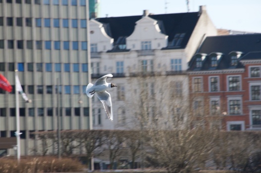 ./20080316-132758.jpg