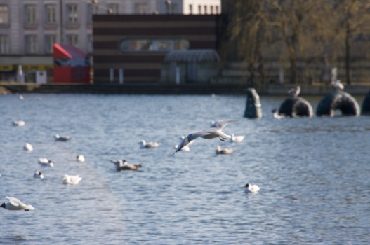 ./20080316-132849.jpg