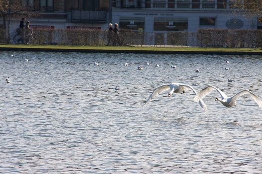 ./20080316-133022.jpg