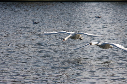 ./20080316-133023.jpg