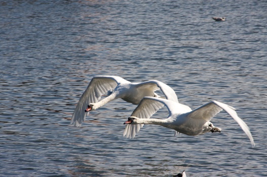 ./20080316-133024.jpg