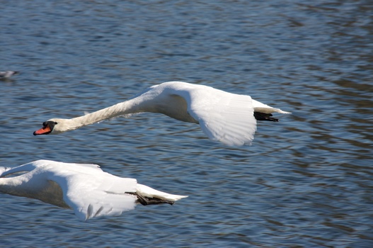 ./20080316-133025.jpg