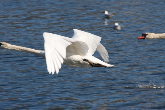 ./20080316-133026.jpg