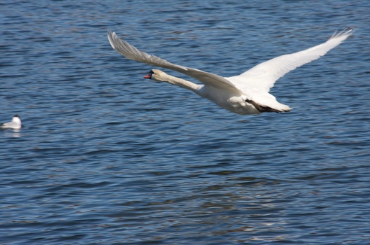 ./20080316-133027.jpg